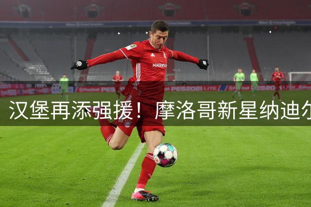 汉堡再添强援！摩洛哥新星纳迪尔自由转会加盟